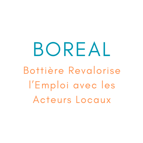 BOREAL Logo Provisoire