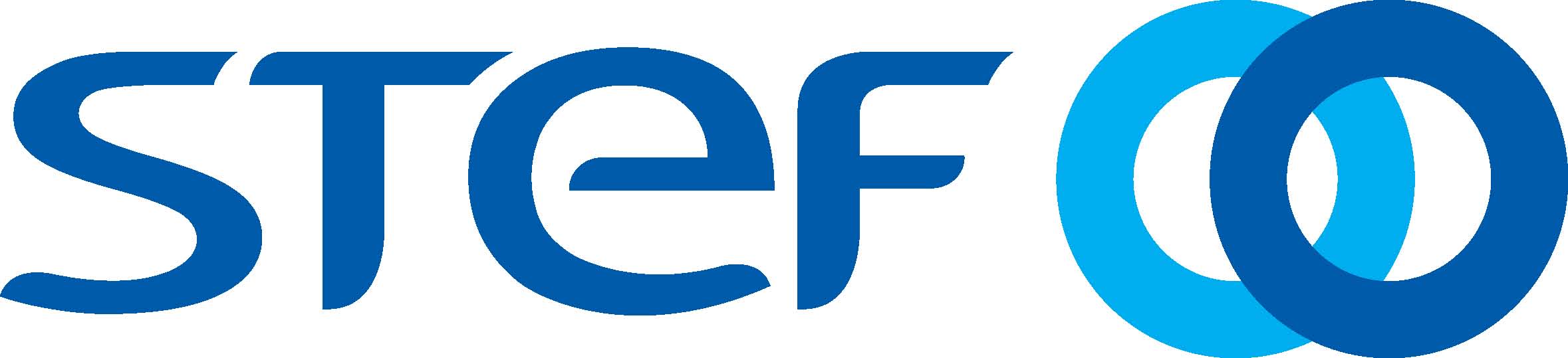 Logo STEF grand